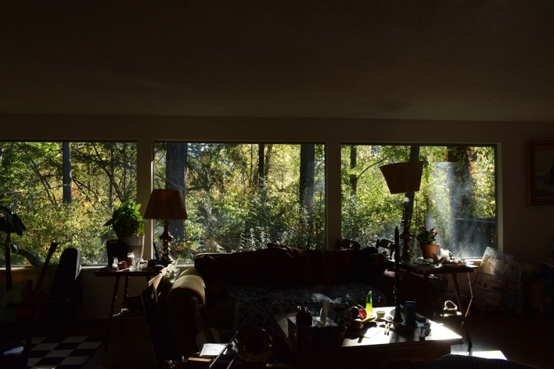 Biophilic design brengt natuur in je woonkamer